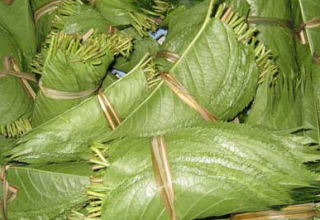 素材のこだわり